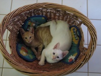20100206 594.JPG